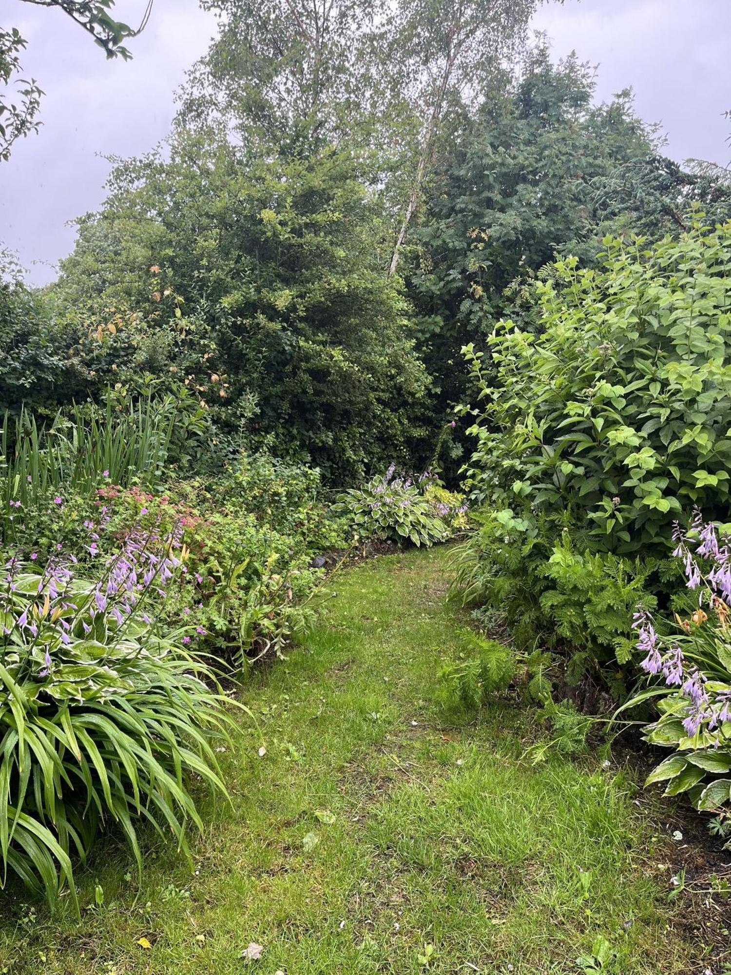 Apple Cottage Newton Stewart Ngoại thất bức ảnh