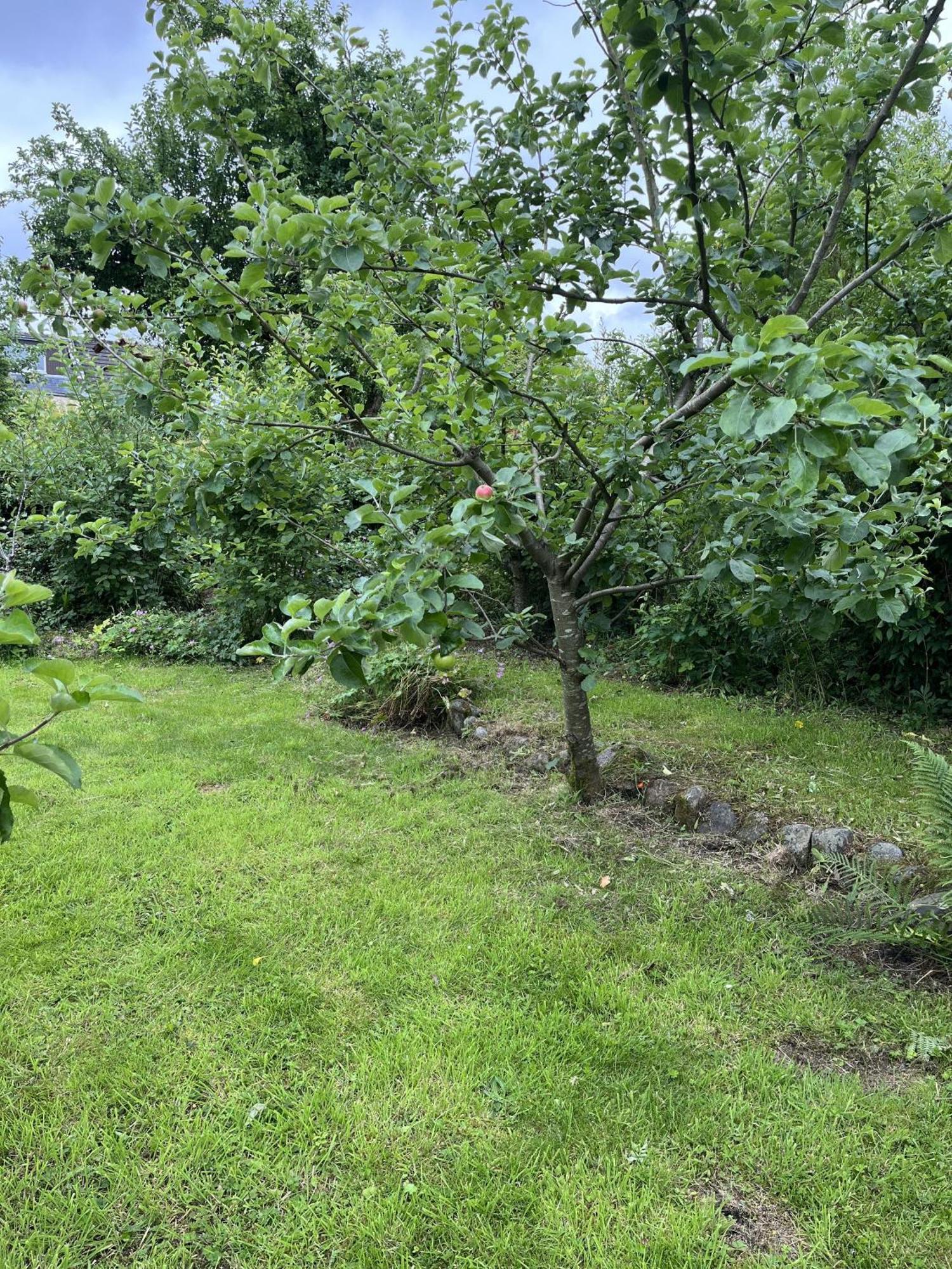Apple Cottage Newton Stewart Ngoại thất bức ảnh